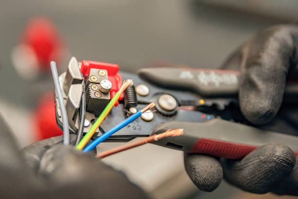 Best Electrical System Inspection  in Palmer, AK