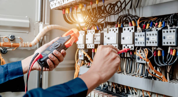 Best Electric Panel Repair  in Palmer, AK