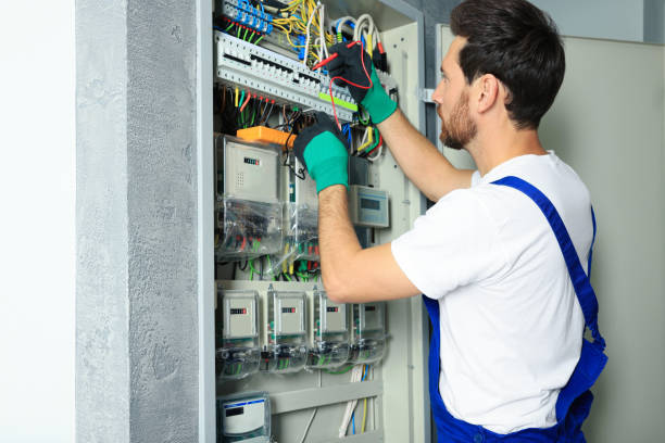 Best Industrial Electrical Services  in Palmer, AK