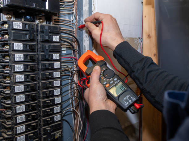 Best Affordable Emergency Electrician  in Palmer, AK