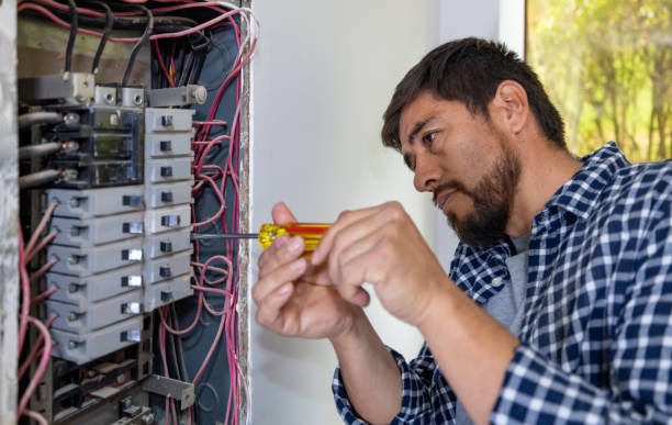 Best Electrical Upgrades for Homes  in Palmer, AK